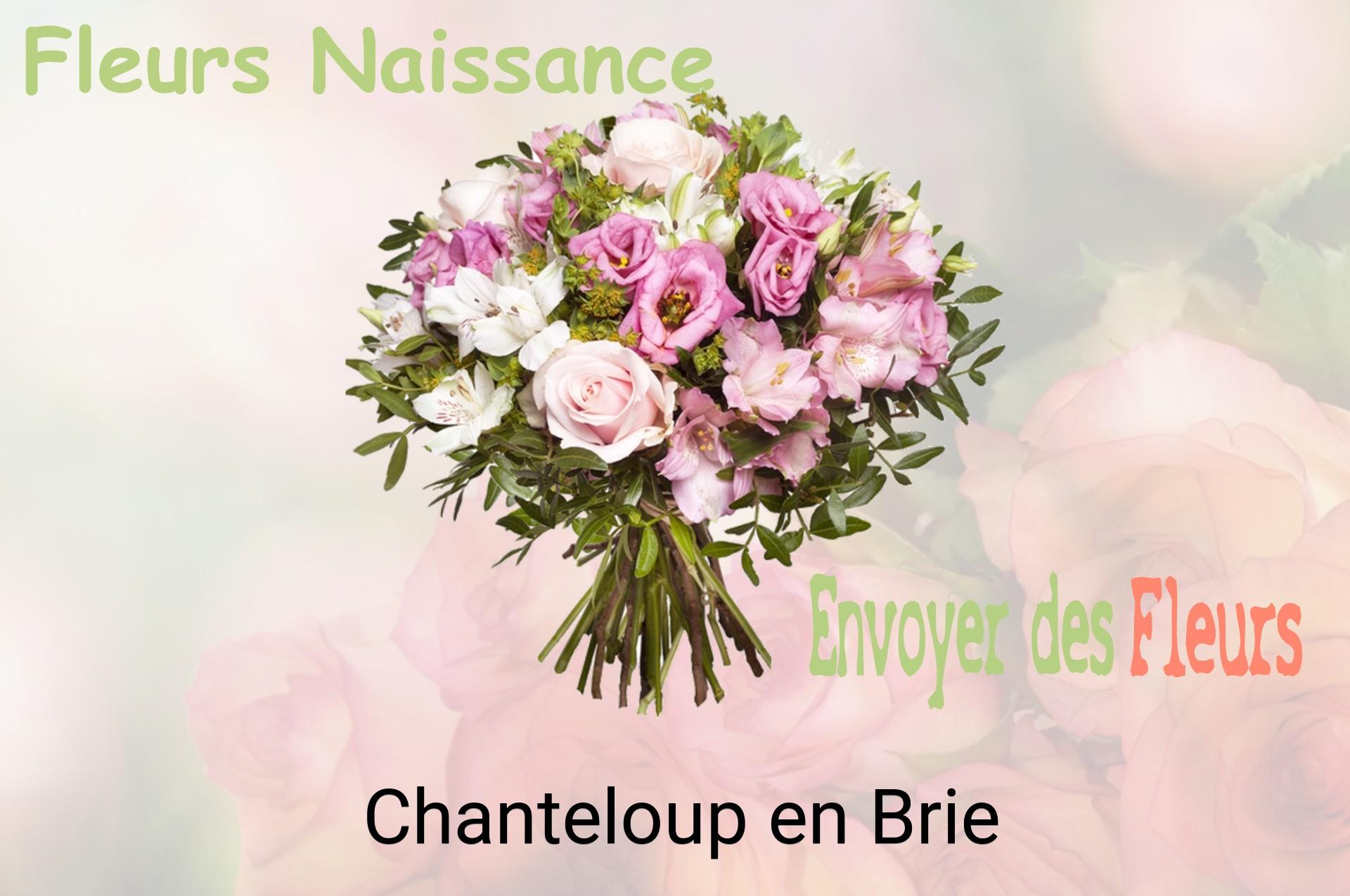 Bouquet de fleurs de naissance livré à Chanteloup-en-Brie